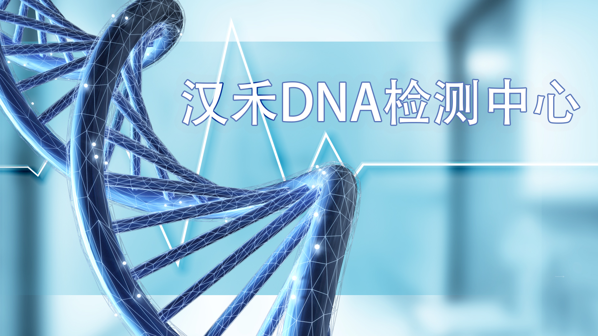 拙简素材 (16).jpg