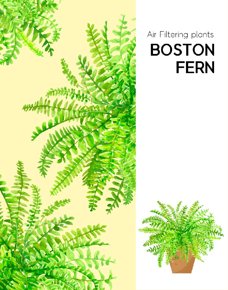 武汉亲子鉴定流程详解 2026 最新版