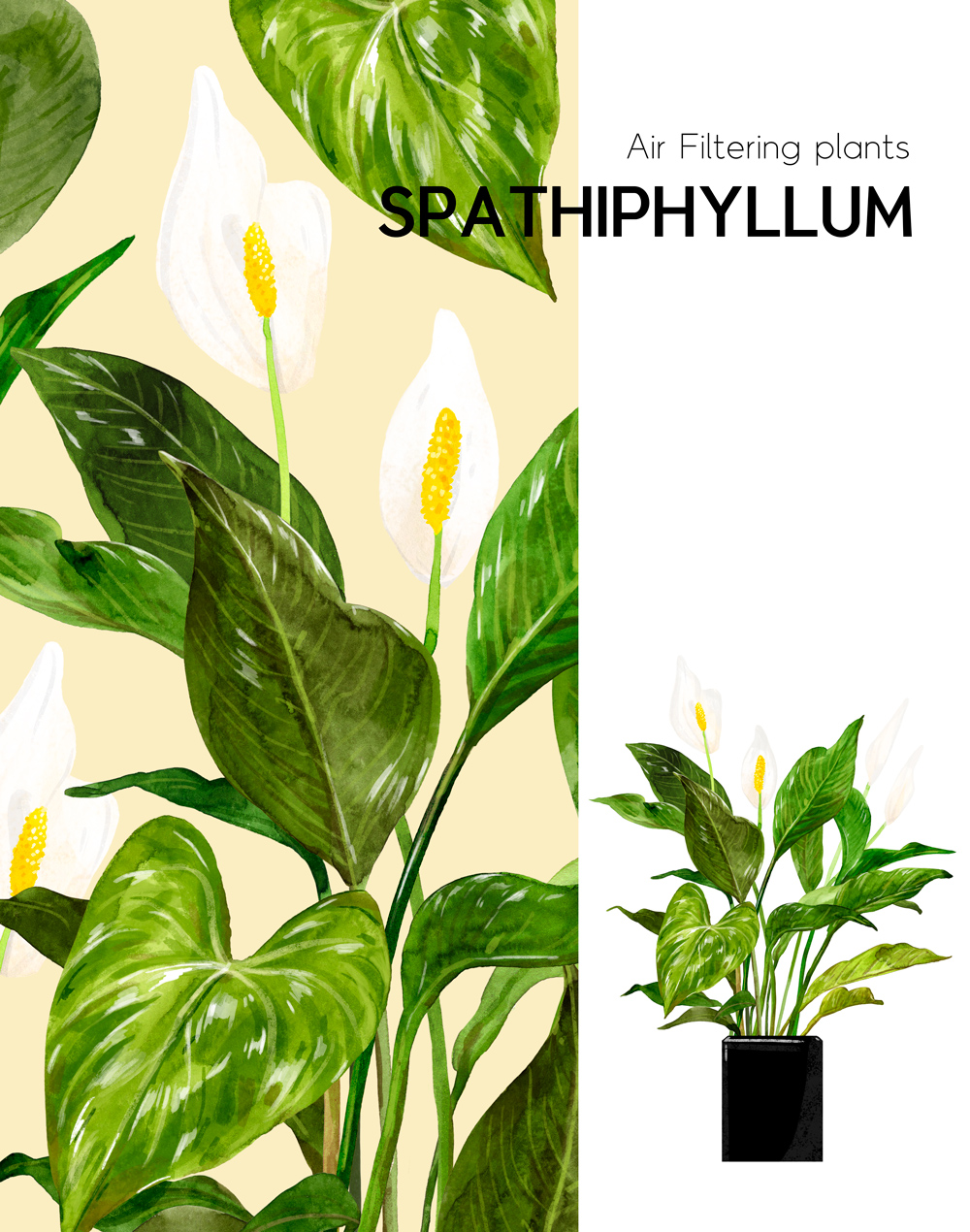 拙简设计 (6).jpg